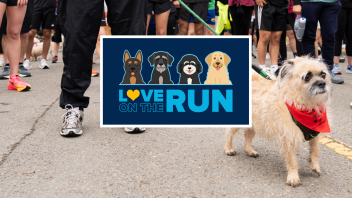 Love On the Run fundraising campaign graphic.